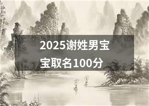 2025谢姓男宝宝取名100分