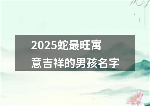 2025蛇最旺寓意吉祥的男孩名字