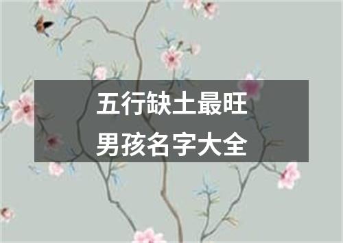 五行缺土最旺男孩名字大全
