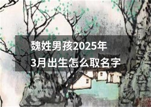 魏姓男孩2025年3月出生怎么取名字
