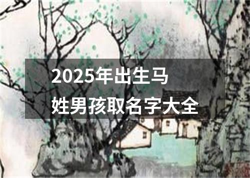 2025年出生马姓男孩取名字大全