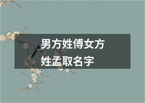 男方姓傅女方姓孟取名字