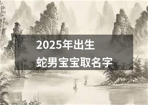 2025年出生蛇男宝宝取名字