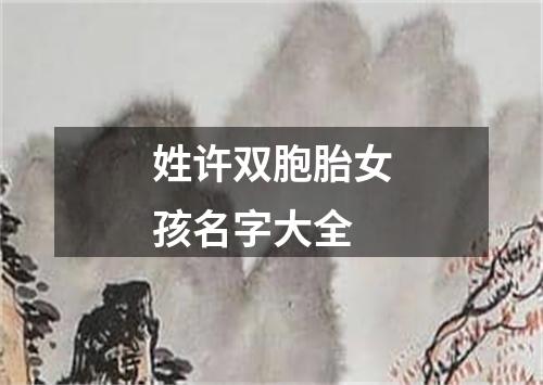 姓许双胞胎女孩名字大全