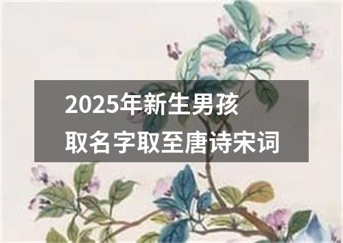 2025年新生男孩取名字取至唐诗宋词