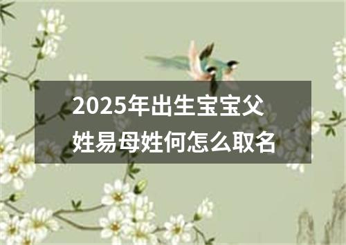 2025年出生宝宝父姓易母姓何怎么取名