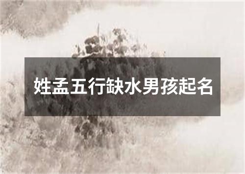 姓孟五行缺水男孩起名