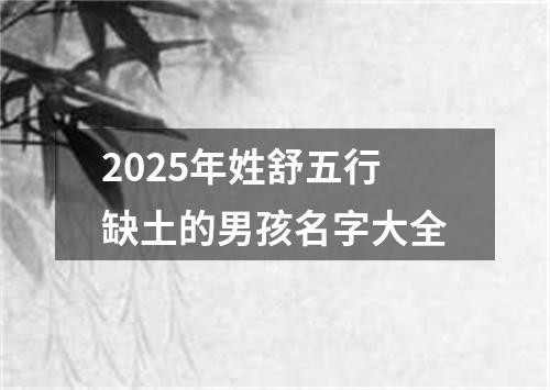 2025年姓舒五行缺土的男孩名字大全
