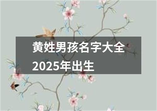 黄姓男孩名字大全2025年出生