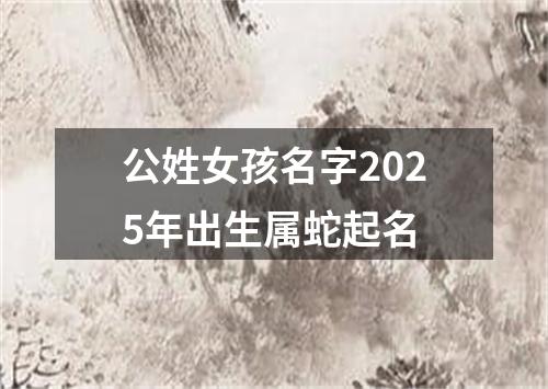 公姓女孩名字2025年出生属蛇起名