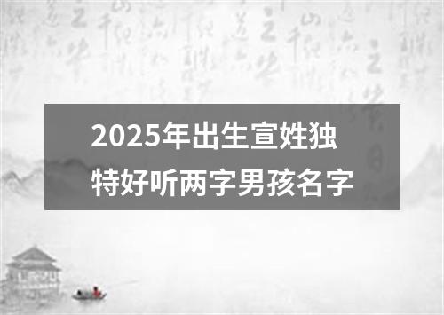 2025年出生宣姓独特好听两字男孩名字
