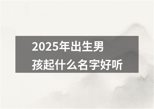 2025年出生男孩起什么名字好听