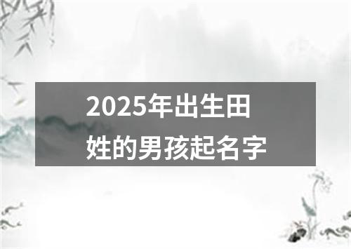 2025年出生田姓的男孩起名字
