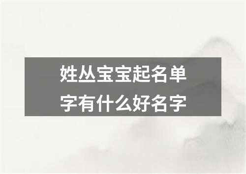 姓丛宝宝起名单字有什么好名字