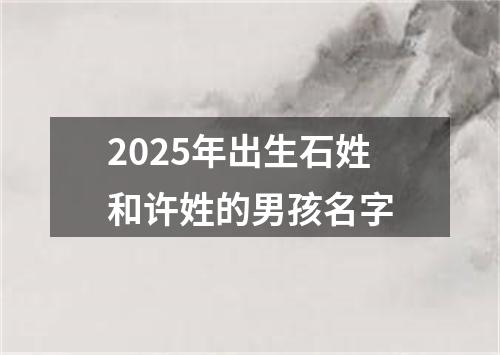 2025年出生石姓和许姓的男孩名字
