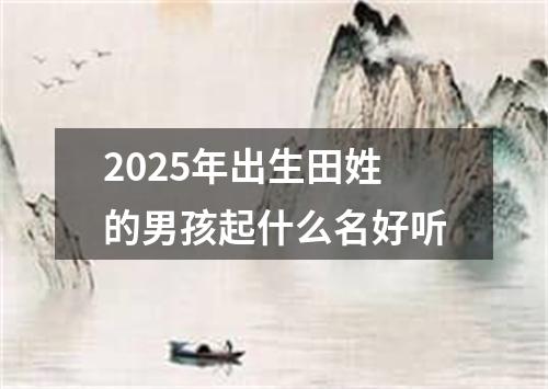 2025年出生田姓的男孩起什么名好听