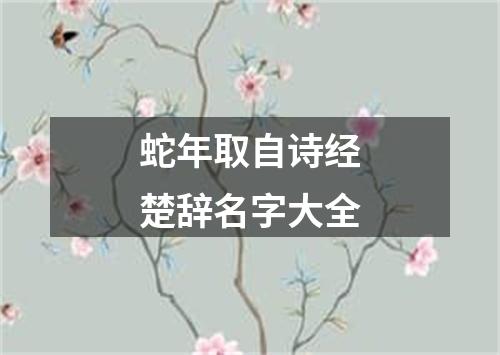蛇年取自诗经楚辞名字大全