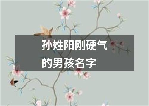 孙姓阳刚硬气的男孩名字