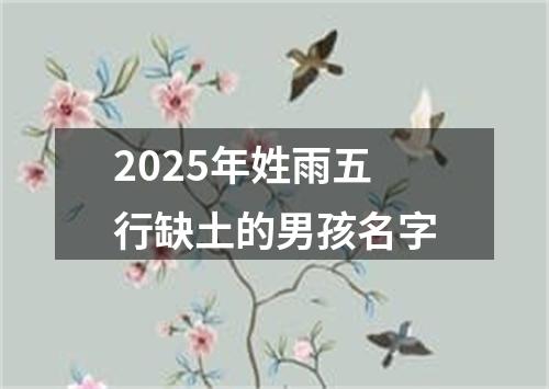 2025年姓雨五行缺土的男孩名字