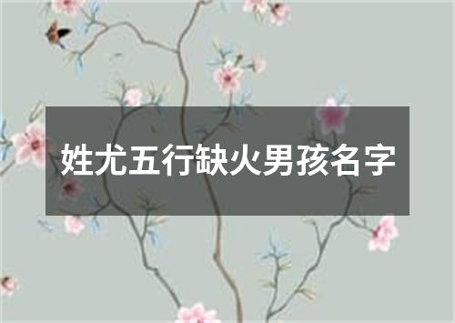 姓尤五行缺火男孩名字