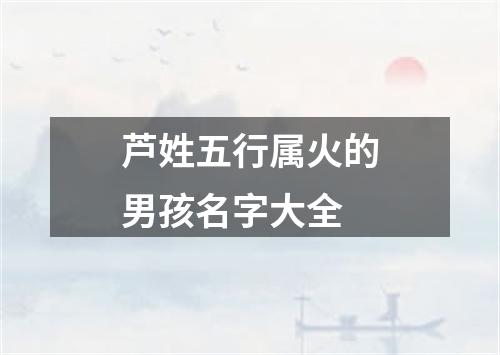 芦姓五行属火的男孩名字大全