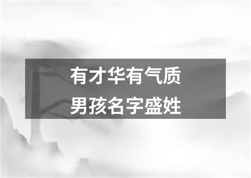 有才华有气质男孩名字盛姓