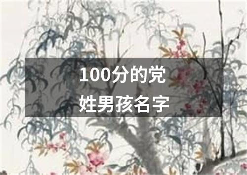 100分的党姓男孩名字