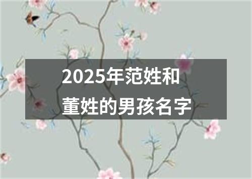 2025年范姓和董姓的男孩名字