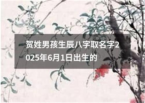 贺姓男孩生辰八字取名字2025年6月1日出生的