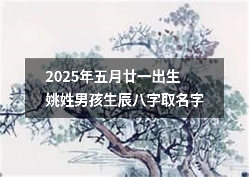 2025年五月廿一出生姚姓男孩生辰八字取名字