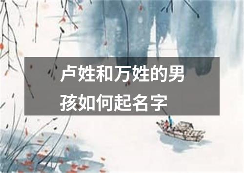 卢姓和万姓的男孩如何起名字