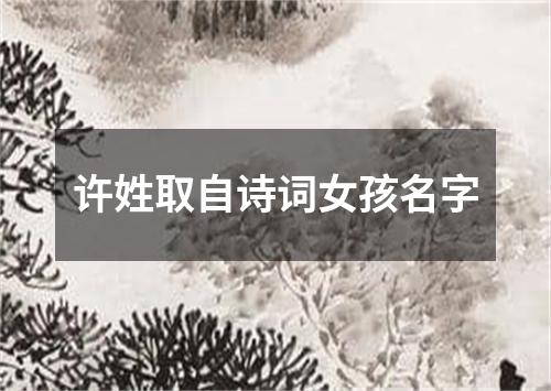 许姓取自诗词女孩名字