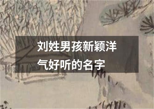 刘姓男孩新颖洋气好听的名字