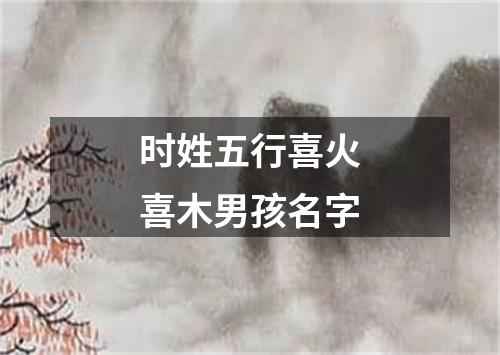 时姓五行喜火喜木男孩名字