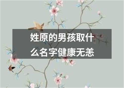 姓原的男孩取什么名字健康无恙