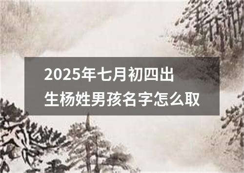2025年七月初四出生杨姓男孩名字怎么取