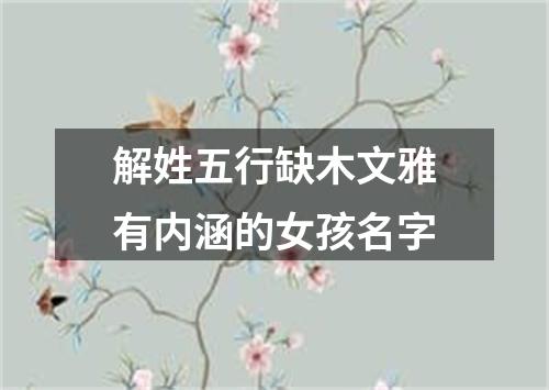 解姓五行缺木文雅有内涵的女孩名字