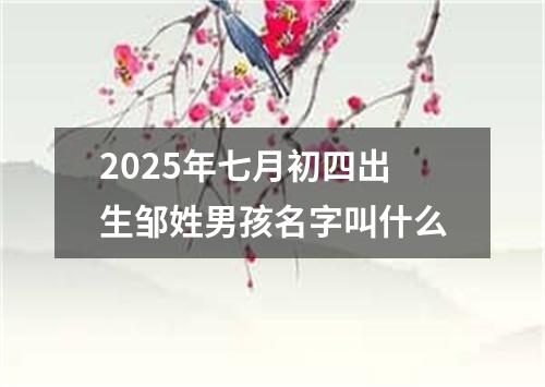2025年七月初四出生邹姓男孩名字叫什么