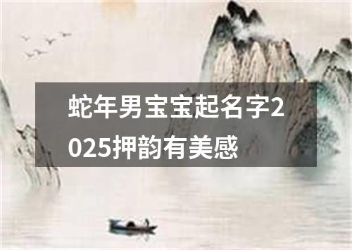 蛇年男宝宝起名字2025押韵有美感
