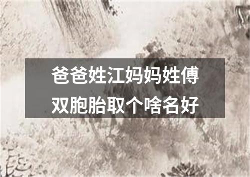 爸爸姓江妈妈姓傅双胞胎取个啥名好