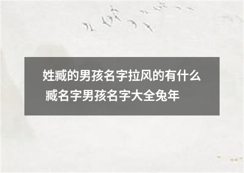 姓臧的男孩名字拉风的有什么 臧名字男孩名字大全兔年