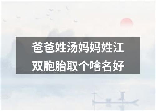 爸爸姓汤妈妈姓江双胞胎取个啥名好