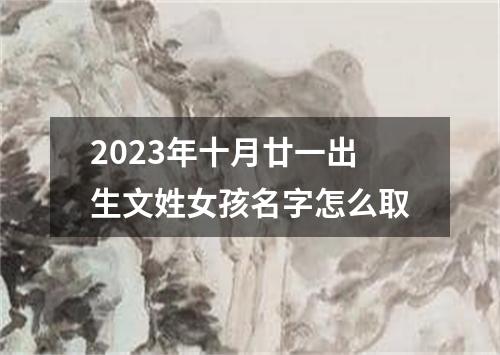 2023年十月廿一出生文姓女孩名字怎么取