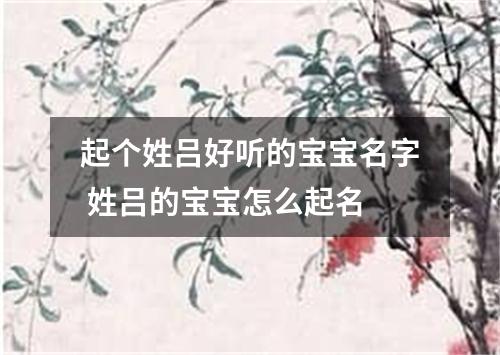 起个姓吕好听的宝宝名字 姓吕的宝宝怎么起名