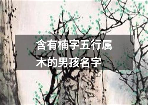 含有楠字五行属木的男孩名字