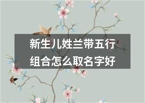 新生儿姓兰带五行组合怎么取名字好
