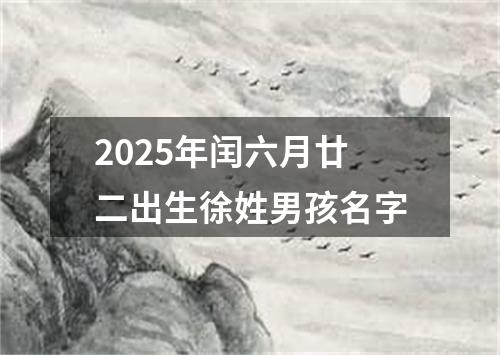 2025年闰六月廿二出生徐姓男孩名字