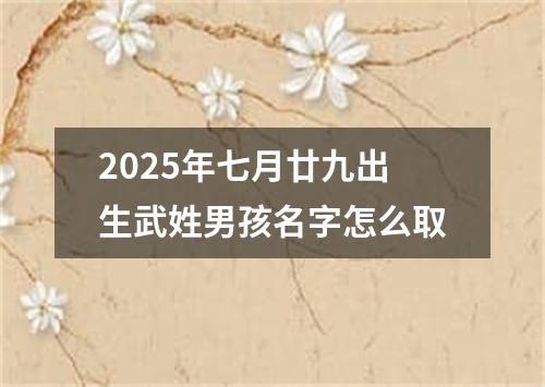 2025年七月廿九出生武姓男孩名字怎么取