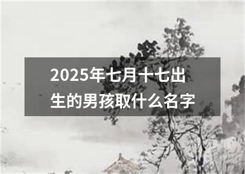 2025年七月十七出生的男孩取什么名字