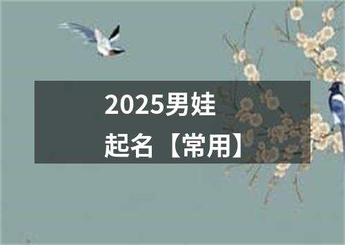 2025男娃起名【常用】